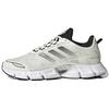 Climacool White Tint Black Unisex Sneakers Cream Footwear-White Core-Black GX5576