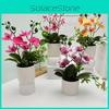 Faux Orchid Flower Arrangement With Pot For Home Decor And Indoor Green Plant Display