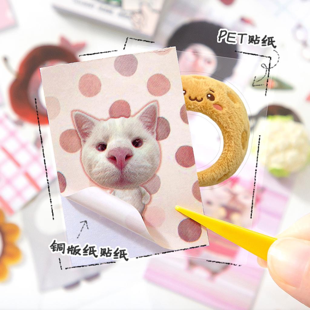Cat Meme Dress Up Sticker Book, Funny Reusable Expression Face Stickers for Mini Journal Planner Scrapbook Diary Craft Decor