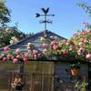 Garden Supplies Stainless Steel Creative Animal Rooster Roof Home Wind Indicator Outdoor Cupola Wind Direction Indicator Field