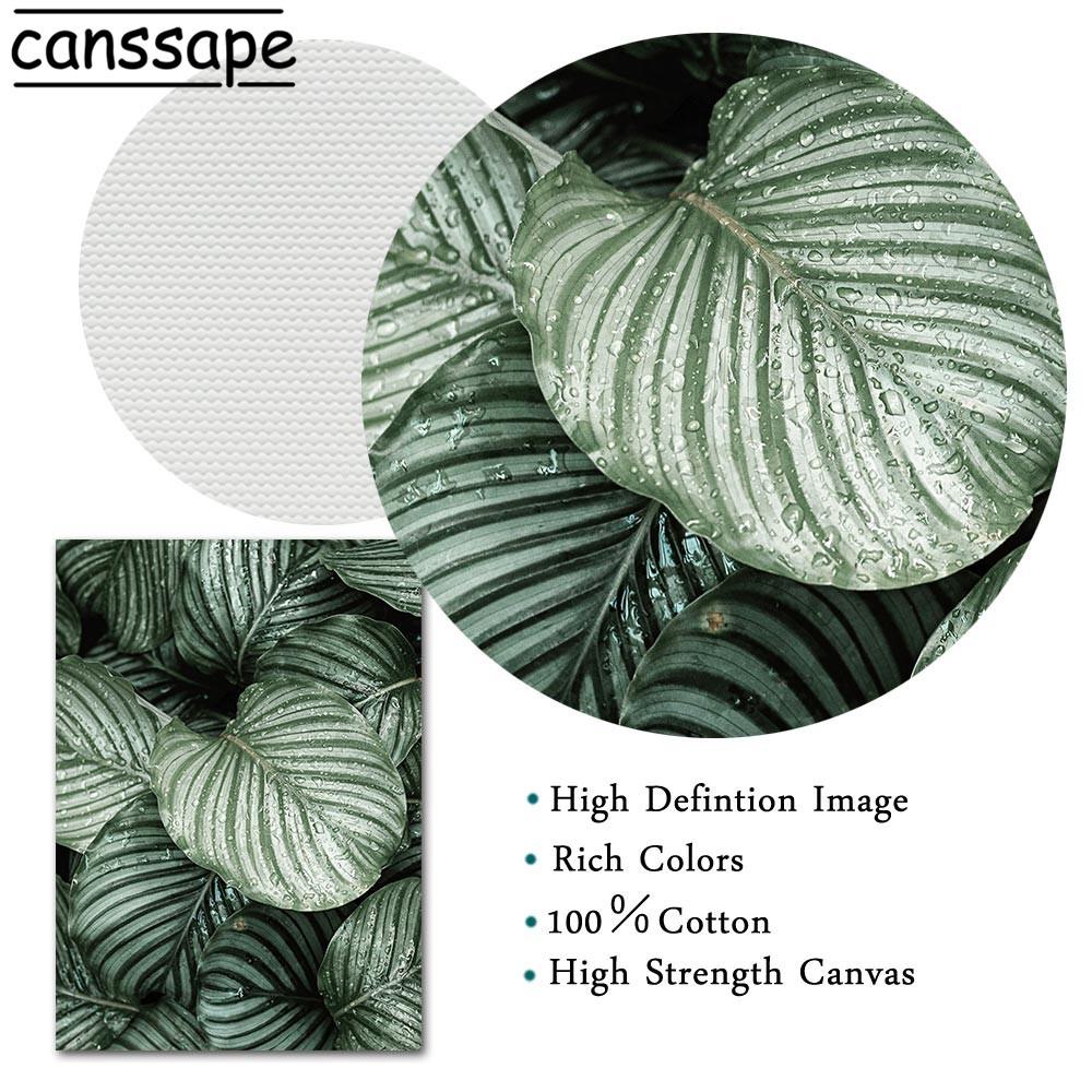 Природа Настенная Живопись Суккулентные Растения Плакаты Цветы Зеленые Растения Листья Холст Картина Скандинавские Настенные Картины Декор Гостиной