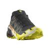 SALOMON Кроссовки Speedcross 6 Gore Tex Кроссовки 474654