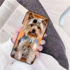 Чехол для телефона с собакой йоркширского терьера для Samsung Galaxy A30 A20 S20 A50S A30S A71 A10S A6 plus Fundas Coque