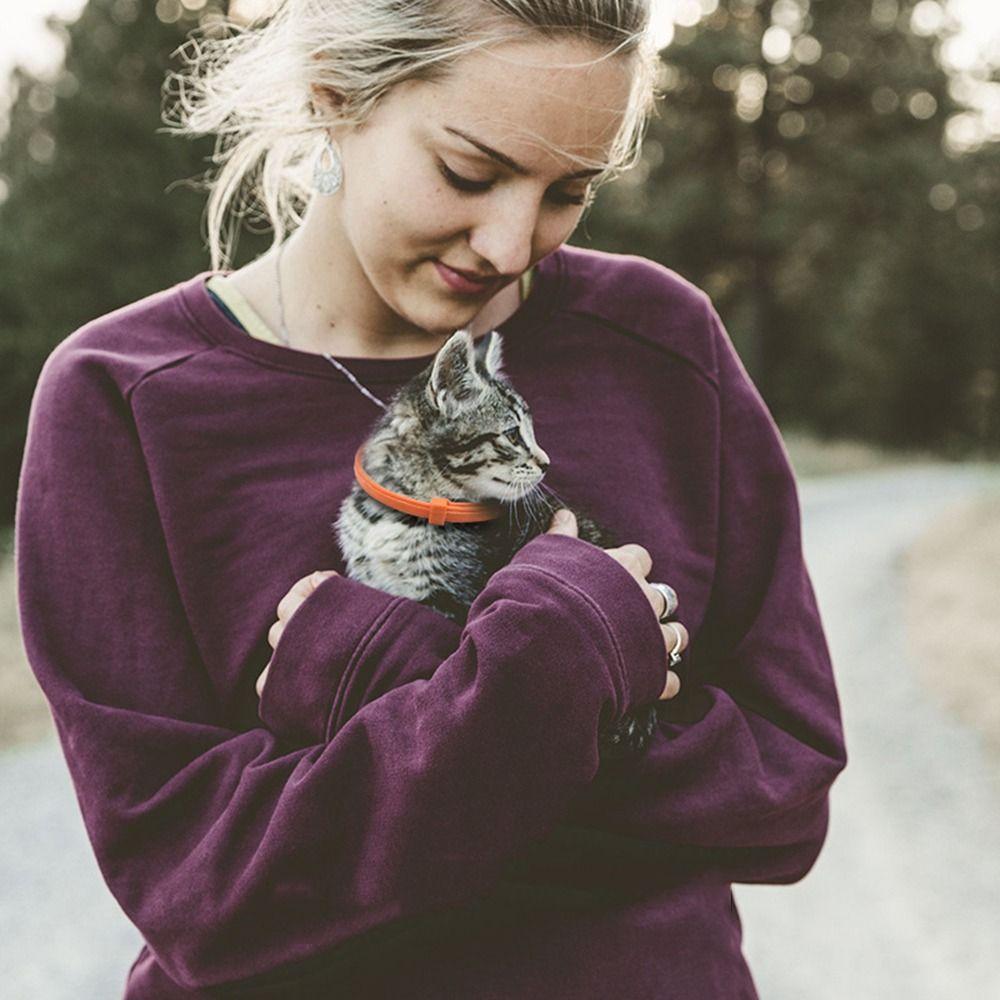 Pet Supply Pacify Soothing Stress Reduction Pet Calming Collar Anxiety Relief Dog Cat Necklace