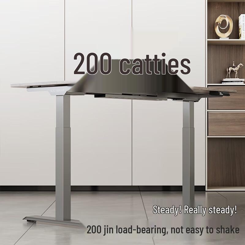 Loctek E3 Electric Smart Standing Desk