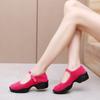 Модная осенняя новинка женская обувь модная платформа блочный каблук повседневная обувь фитнес ходьба танцы кроссовки роскошный бархат туфли Мэри Джейн на каблуке