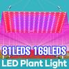 220V LED Plant Growth Light Full Spectrum 40W Quantum Board Fill Lamp Hydroponic Seedling Cultivation Lamps Flower Grow Lighting