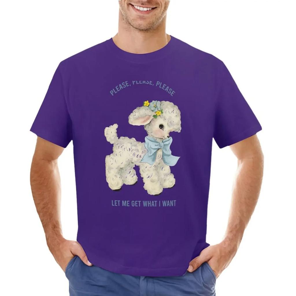 Please, Please, Please Let Me Get What I Want T-Shirt The Smiths T-shirt cute clothes summer top sweat shirts,