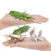 Miniature Mantis Figurine Ornaments Praying Mantis Models Garden Decor Simulated Insect  Kids Gift