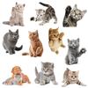 3D Cartoon Cats Toilet Wall Stickers For Kids Baby Rooms Poster Home Decor Cute Animal Cat PVC Self-adhesive Art