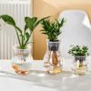 Plastic Aquatic Plant Container Self Watering Hydroponic Flower Pot Mini Fish Tank   Planter Pot
