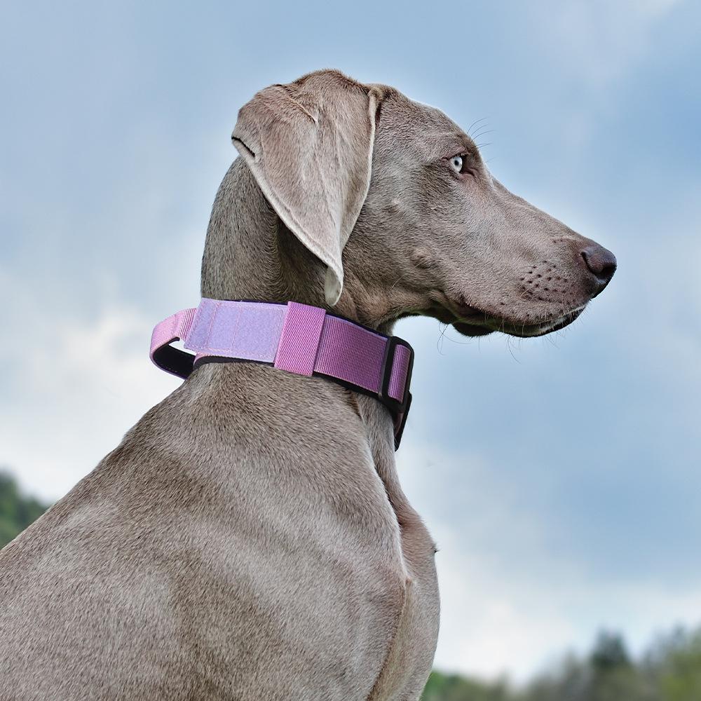 Explosion-Proof & Pull-Resistant Tactical Dog Collar for Medium & Large Dogs.