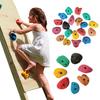 Rock Climbing Holds with Mounting Screw Holds Up To 230Lbs Kids Adults Rock Wall Holds
