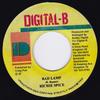 7-дюймовая пластинка RICHIE SPICE - Bad Lamp NONE Digital-B 2005 Ямайка Регги, Ска и Даб Б/У