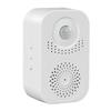 Welcome Doorbell Infrared Motion Sensor Activated Recordable Voice for Shop Audio Player Entrance Welcome Doorbell