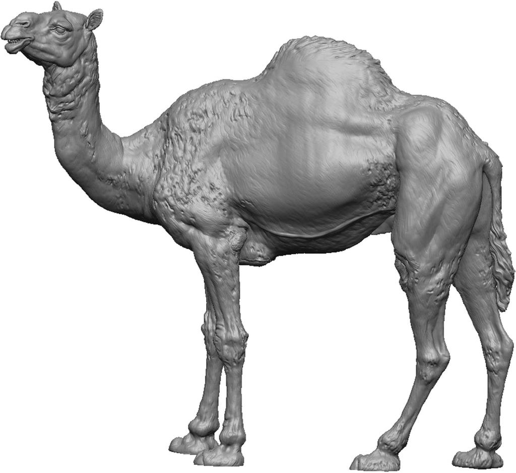 Аксессуар для диорамы Ardennes Miniatures Масштаб Серия 3D Животные Стоящий одногорбый верблюд Набор для 3D-печати ARD72008 1/72 (животное)