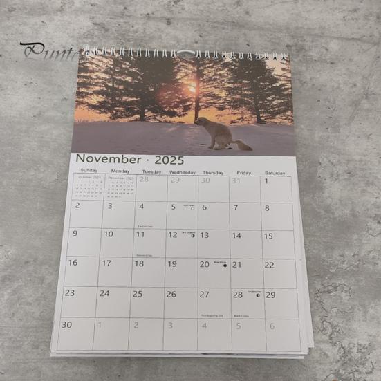 2025 Какающие Собаки Настенный Календарь Забавный Подарок Шутка Календарь Какашек Щенка Семейный Офис Ежедневный Планировщик Расписания Для Любителей Собак