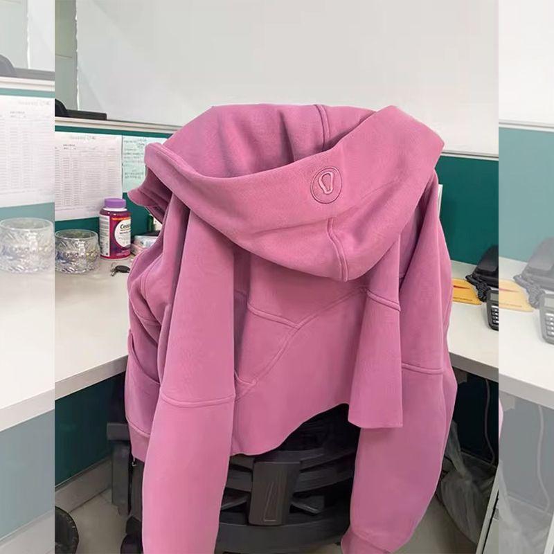 Винтажная толстовка с капюшоном и вышивкой для женщин, маленькая, осенняя, короткая, универсальная, элегантная, на молнии