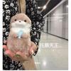 Cute Little Otter Holding Fish Plush Doll Pendant Doll Gift Cute Graduation Gift