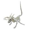 Halloween Animal Skeletons Dog Bat Frog Scorpion Spider Snake Rat Bone Skeletons for Halloween Party Haunted House Graveyard Scene Decoration