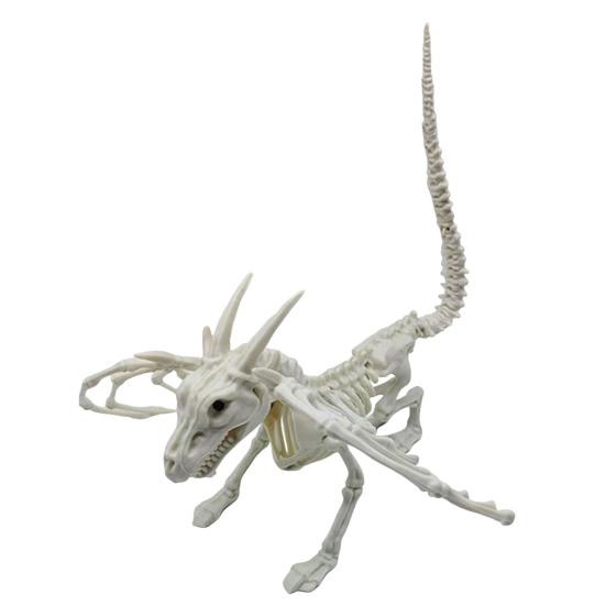 Halloween Animal Skeletons Dog Bat Frog Scorpion Spider Snake Rat Bone Skeletons for Halloween Party Haunted House Graveyard Scene Decoration