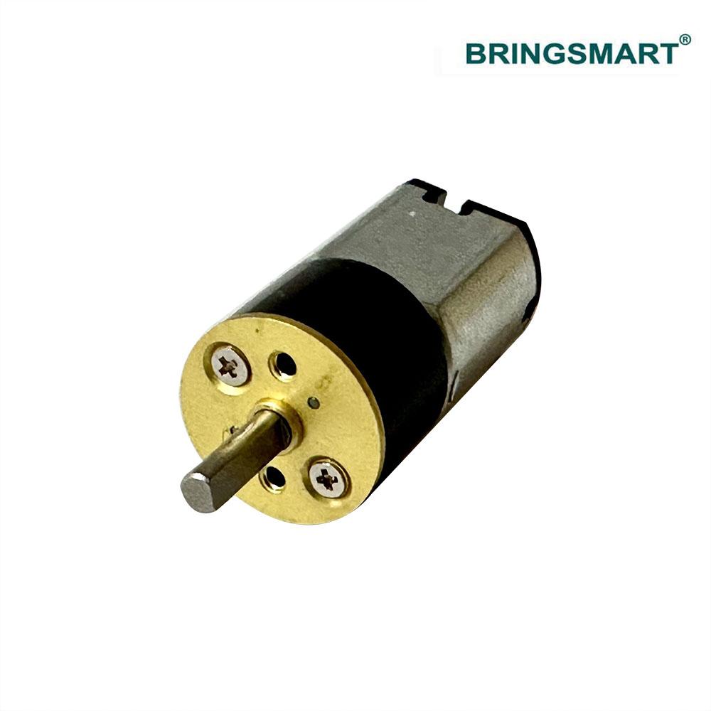 Bringsmart JGA16-030 Мини-редукторный двигатель постоянного тока Низкошумный редуктор 6-вольтовый электродвигатель Робот Индивидуальный Низкий 12-вольтовый Редуктор скорости Двигатель 6В