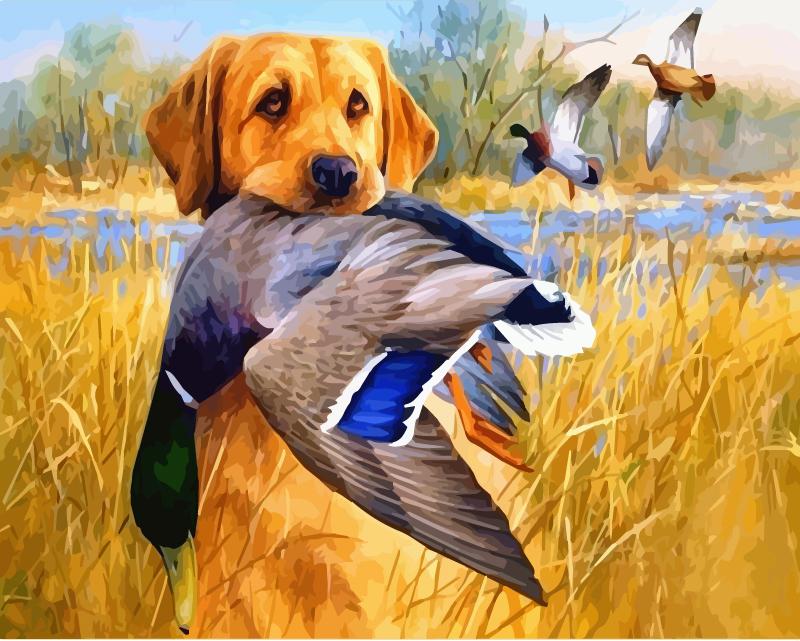 40x50 см живопись по номерам собака рисунок на холсте ручная роспись живопись искусство подарок DIY фотографии по номерам наборы животных домашний декор