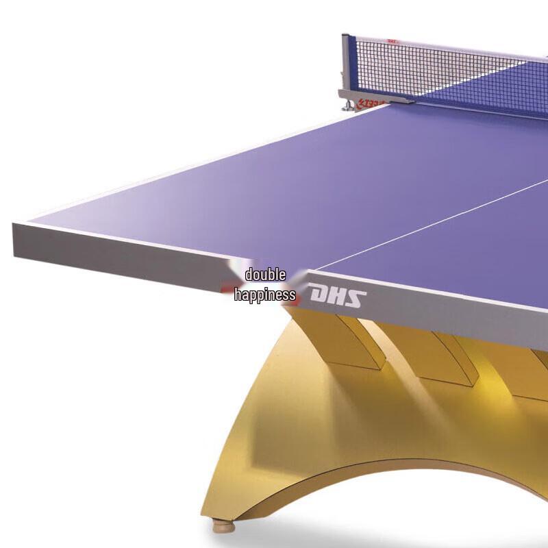 DHS Rainbow Indoor Competition Table Tennis Table