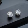 Stud Earrings Men's Trendy Ear Buckles Personalized Versatile Earrings Women's High-end Jewelry Accessories Earrings