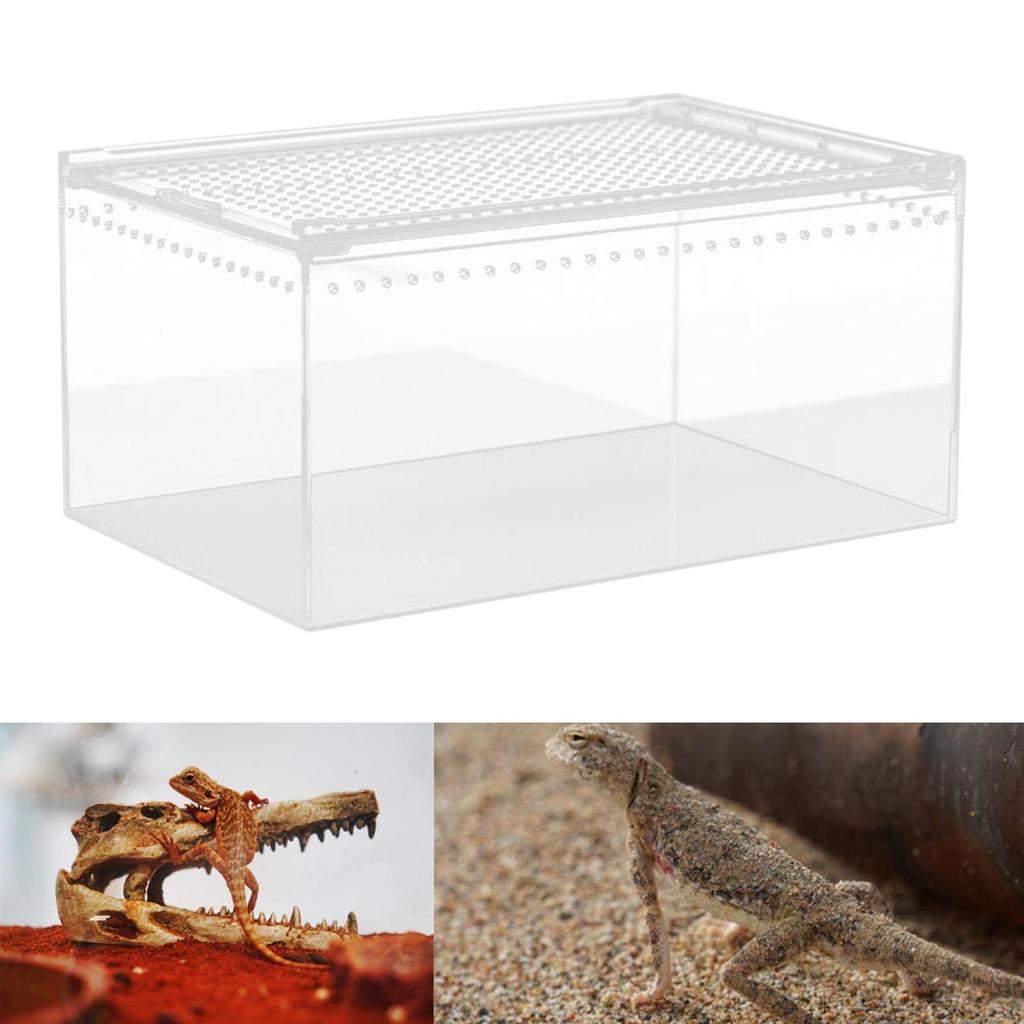 Portable Reptile Habitat Box for Chameleons And Snakes