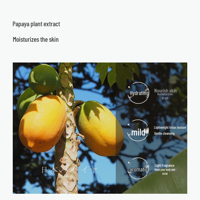 Qianxiang Amino Acid Papaya Scented Body Wash