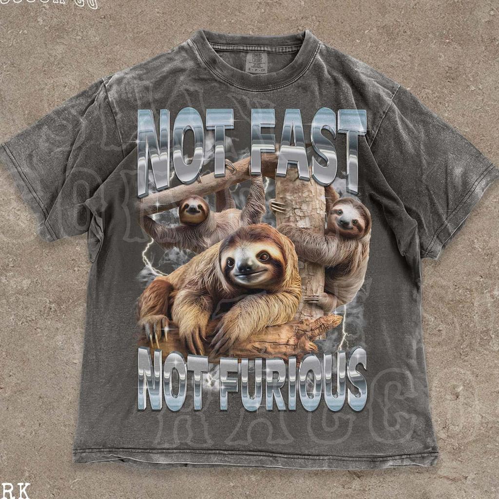 Funny Sloth Shirt | Not Fast Not Furious T-Shirt | 90s Aesthetic Tee | Sarcastic Wildlife Tee | Ironic Animal Shirt | Vintage Style Tee