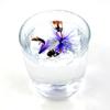 MNFT 10Pcs 8# Purple Beard Bass Dry Hook Nymph Fly Fishing Lure  Feather Tail Nymph Tying Fly Fishing Bait Lures