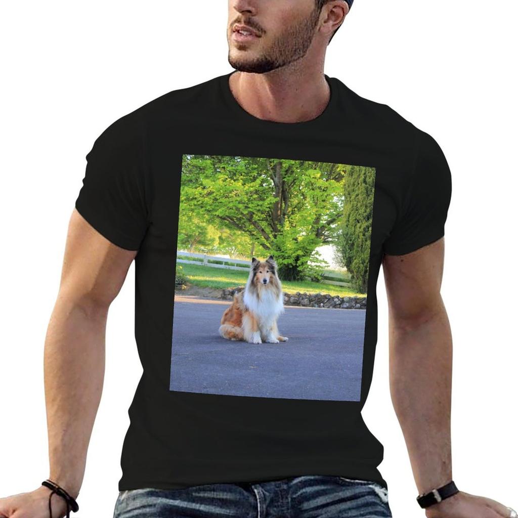 Sitting Rough Collie Tshirt T Shirts For Unisex Graphic Funny Cotton T Shirts Unisex 100 Cotton T Shirt Pack Tshirt