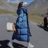 Feminine New Style Winter Stand Collar Hooded Long Coat Hot Selling Warm Cozy Pocket Cotton Padded Windproof Thick Puffer Jacket