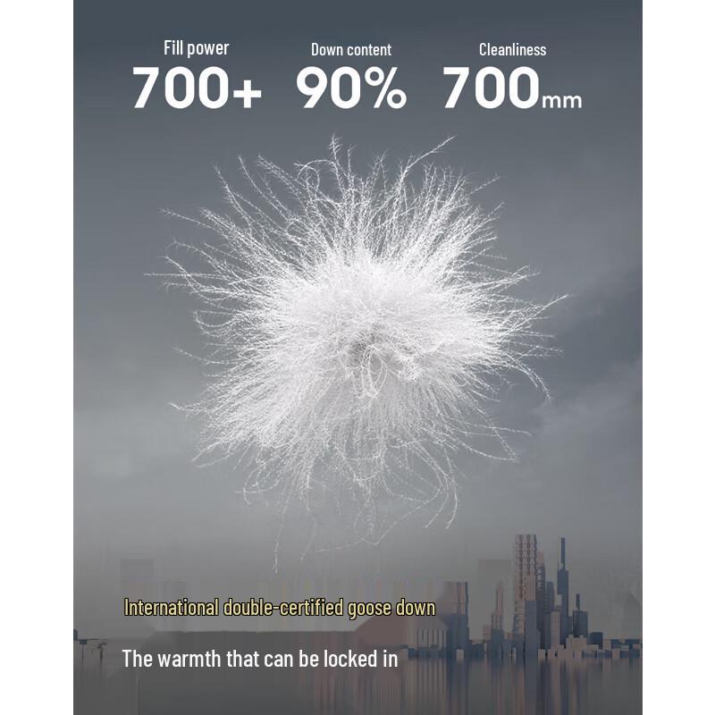 Bosideng B250134151 Men's Stand Collar Short Down Jacket