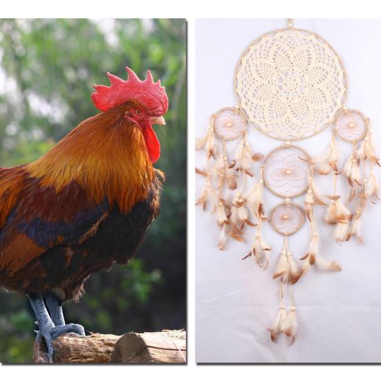 5 Rings Feather Dream Catcher Home Wall Hanging Decoration Ornament Craft