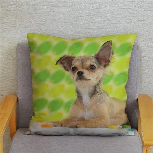 Милая Мини Собака Чихуахуа Декоративная Наволочка Офис Гостиная Автомобиль Украшения Дома Наволочка