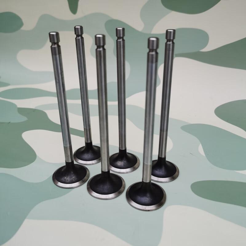 EQ1120GA Engine Intake/Exhaust Valve