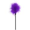 Adult Bondage Spank BDSM Flirt Feather Flirt Feather Whip Nipple Stimulation Products Sex Toys