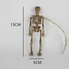 Sketch Skeleton Decoration Skeleton Model Skeleton Ornament Simulation Skeleton Human Anatomical