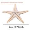 1 Box Natural Starfish Seashell Beach Craft Natural Sea Stars DIY Beach Wedding Decoration Crafts Home Decor