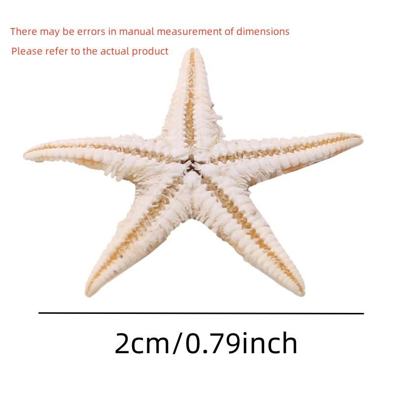 1 Box Natural Starfish Seashell Beach Craft Natural Sea Stars DIY Beach Wedding Decoration Crafts Home Decor