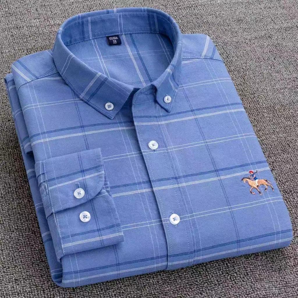 Men's Pure Cotton Embroidered Oxford Shirt - Long Sleeve, Solid Color, Spring/Autumn Business Casual