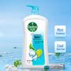 Dettol Men's Mint Ice Cool Body Wash