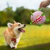 Игрушка для домашних животных Собака Футбол Человек Интерактивная игрушка для собак На открытом воздухе Многофункциональный футбол для собак с веревкой