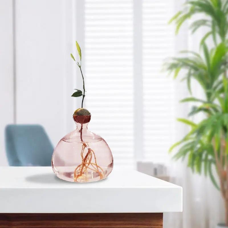 1шт набор для выращивания семян подарок для любителей садоводства домашний декор прозрачная стеклянная ваза