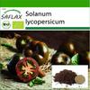 Органический - Помидор - Черная вишня - 10 семян - С горшечным субстратом для лучшего выращивания - Solanum lycopersicum