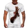 Cute Squirrel Animal 3D Printed Pattern Street Style Men's Casual T-shirt