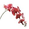 Eco-friendly Artificial Flower Realistic Great Ornamental Simulation Phalaenopsis